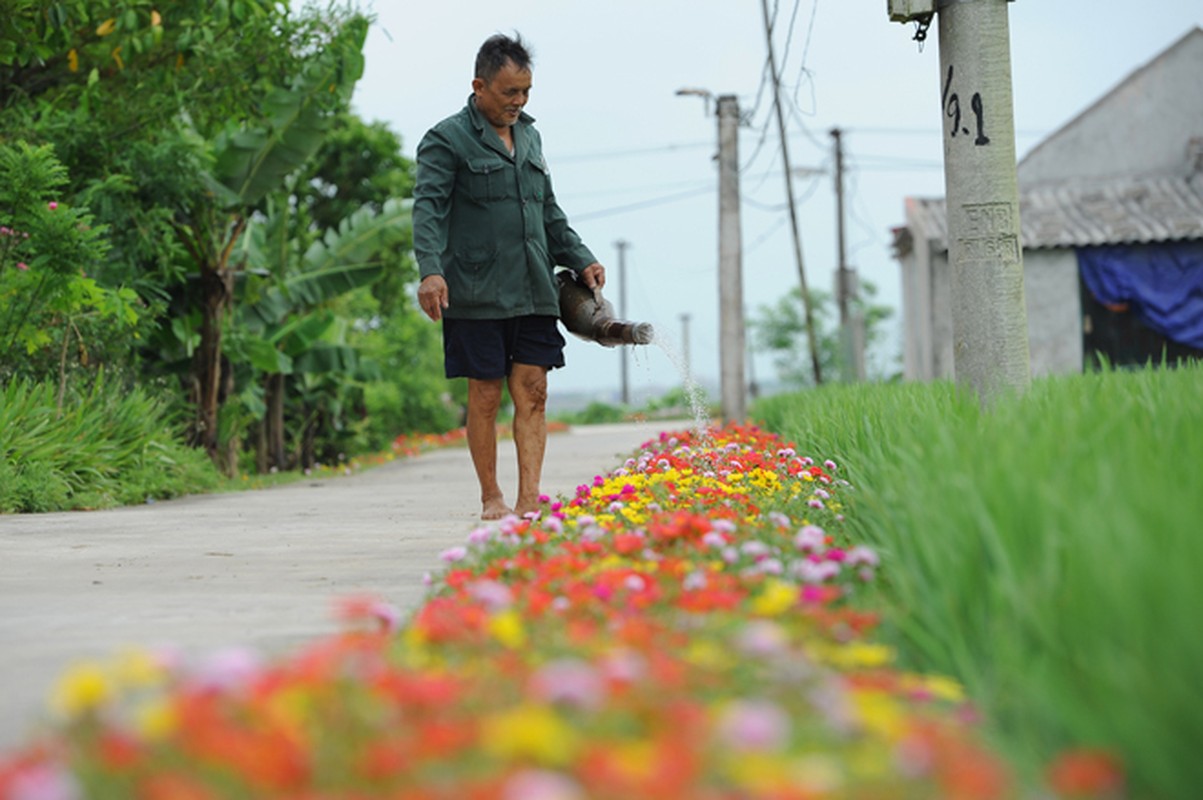 Dep ngo ngang duong que ruc ro trong sac hoa muoi gio-Hinh-6